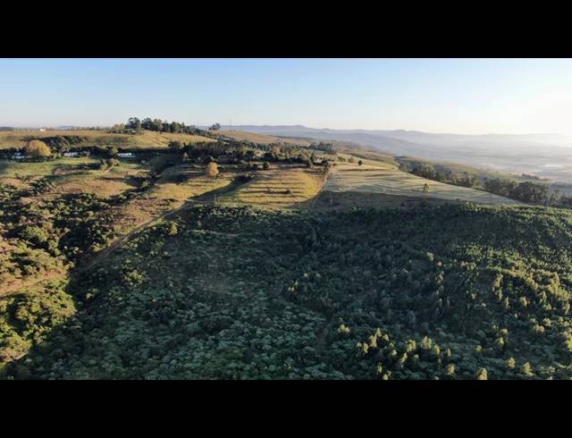 FARM FOR SALE IN MOUNT VERDE